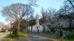 IMG_20170404_164755_HDR