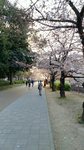 IMG_20170404_165156_HDR