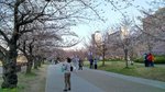 IMG_20170404_165203_HDR