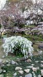 IMG_20170404_170004_HDR
