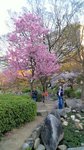 IMG_20170404_170008_HDR