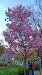 IMG_20170404_170035_HDR