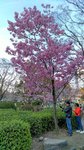 IMG_20170404_170044_HDR