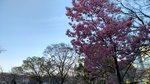 IMG_20170404_170046_HDR