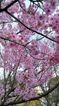 IMG_20170404_170600_HDR