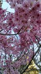 IMG_20170404_170605_HDR