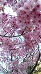 IMG_20170404_170607_HDR