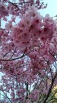 IMG_20170404_170609_HDR