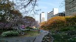 IMG_20170404_170632_HDR