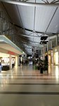 IMG_20170405_220742