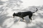 IMG_0165