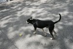 IMG_0166
