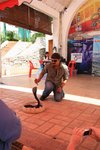 IMG_0171