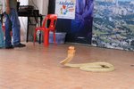 IMG_0185