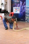 IMG_0188
