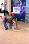 IMG_0189