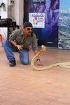 IMG_0190