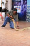 IMG_0191