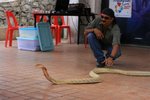 IMG_0193
