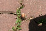 IMG_0204