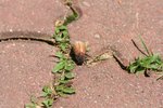IMG_0205