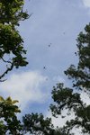 IMG_0208