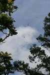 IMG_0210