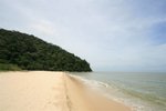 IMG_0318