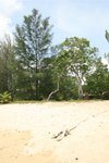 IMG_0333