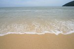 IMG_0338