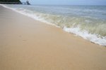 IMG_0339