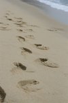 IMG_0433