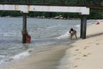 IMG_0444
