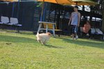IMG_4330
