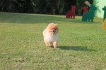 IMG_4336