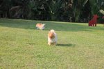 IMG_4340