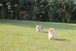 IMG_4341