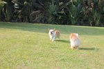 IMG_4342