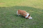 IMG_4348
