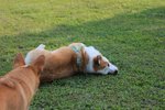 IMG_4359