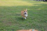 IMG_4362