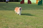 IMG_4365