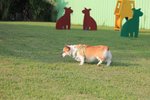 IMG_4381