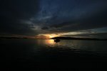 IMG_4317