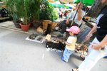 IMG_4364