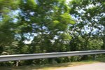 IMG_4494