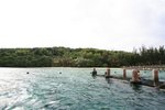 IMG_4631