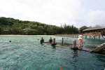 IMG_4634