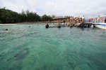 IMG_4638