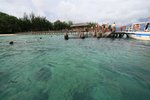 IMG_4639